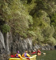  Kayaking along sheer rock walls in Milford Sound New Zealand  