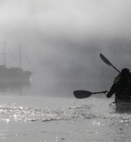  Paddlign with Real Journeys boat in background New Zealand  