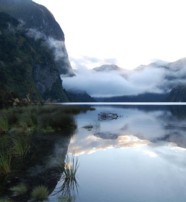  Doubtful Sound New Zealand on a cloudy day 