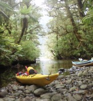  A river stop while kayaking in Fiordland New Zealand  